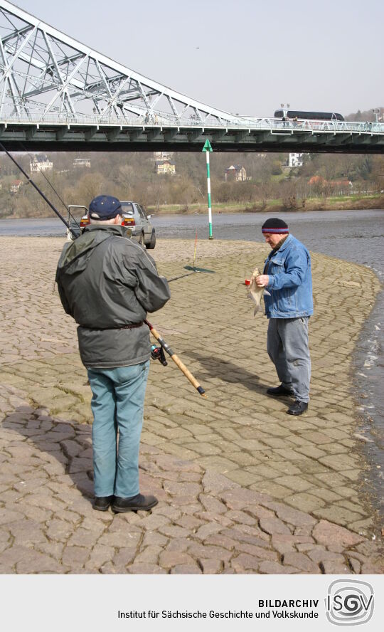 Landschaftsansicht der Elbe