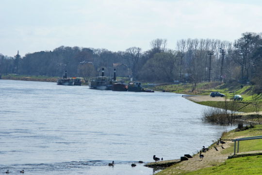 Landschaftsansicht der Elbe