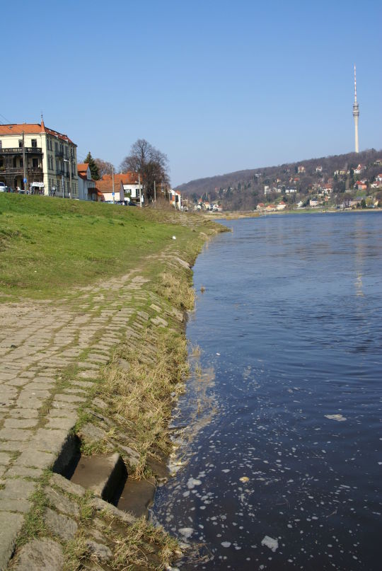 Landschaftsansicht der Elbe