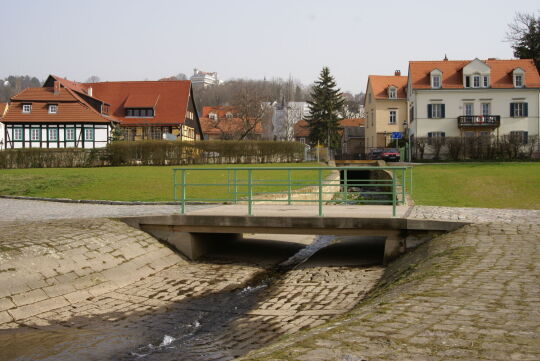 Elbufer in Dresden