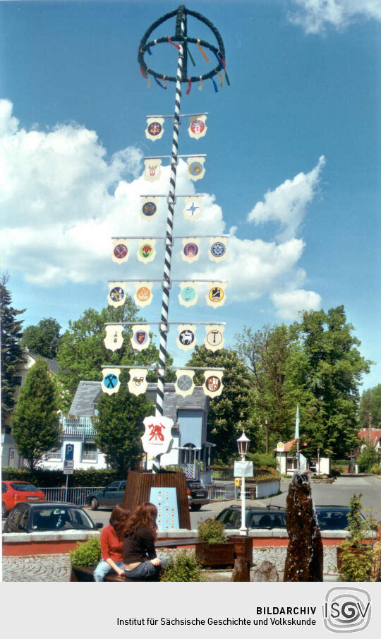 Maibaum von Höckendorf