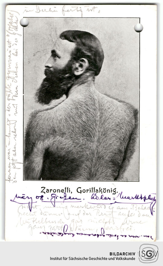 Postkarte: Zaronelli, Gorillakönig - Vorderseite