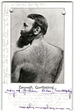 Postkarte: Zaronelli, Gorillakönig - Vorderseite