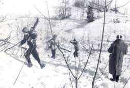 Bild: Jugendwettkampf im Skispringen in Bockau ?