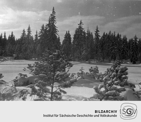 Winter in Bockau