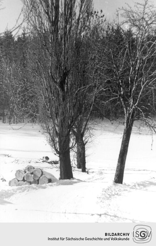 Winter in Bockau