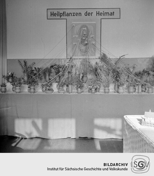 Ausstellung in Bockau