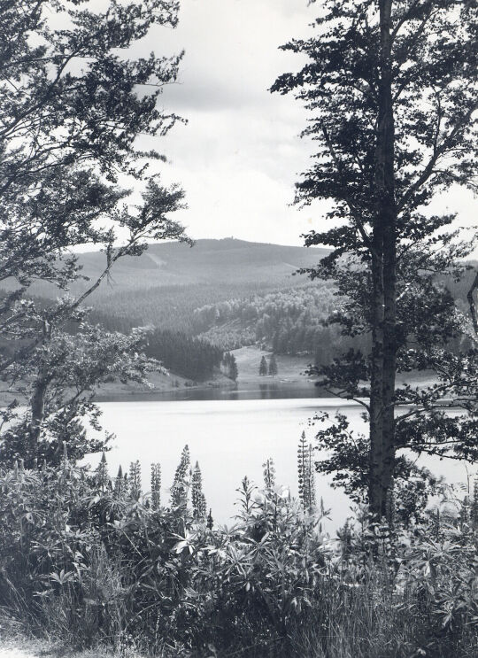 Postkarte Sosaer Talsperre