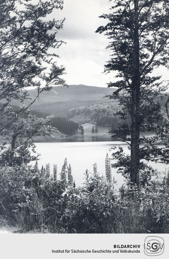 Postkarte Sosaer Talsperre