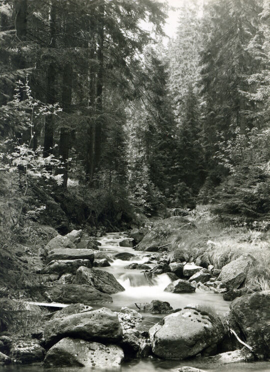 Postkarte Glashüttenbächel