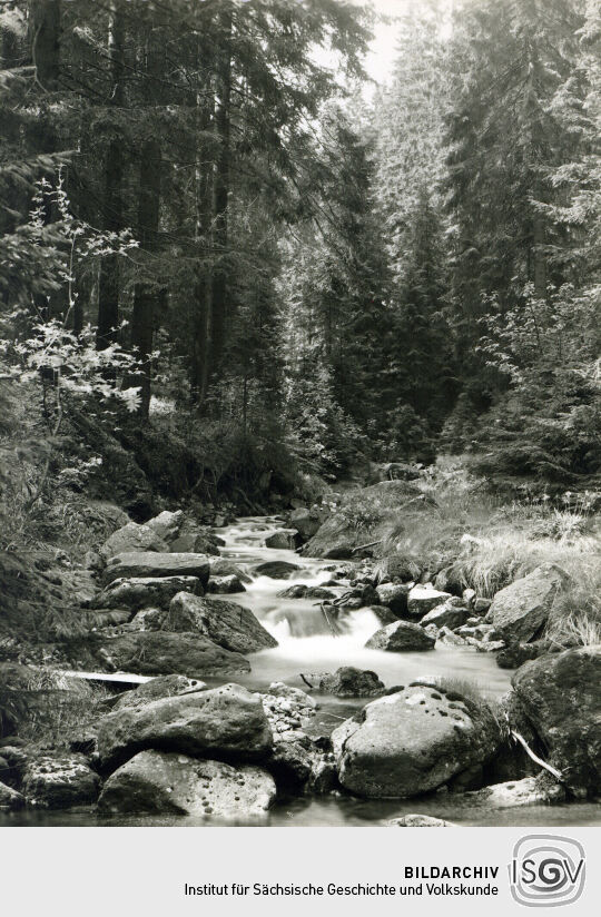 Postkarte Glashüttenbächel