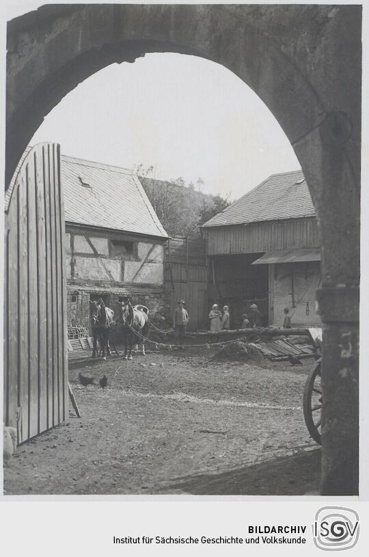 Pferde am Rundgang-Göpel