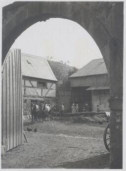 Bild: Pferde am Rundgang-Göpel