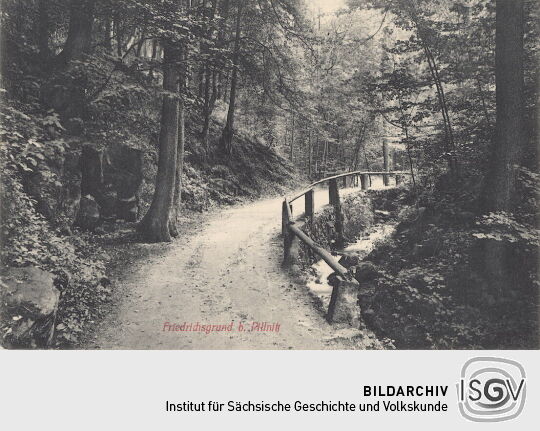 Postkarte "Friedrichsgrund bei Pillnitz"