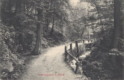Bild: Postkarte "Friedrichsgrund bei Pillnitz"