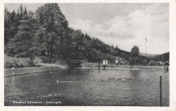 Bild: Postkarte "Waldbad Dönschten im Osterzgebirge"