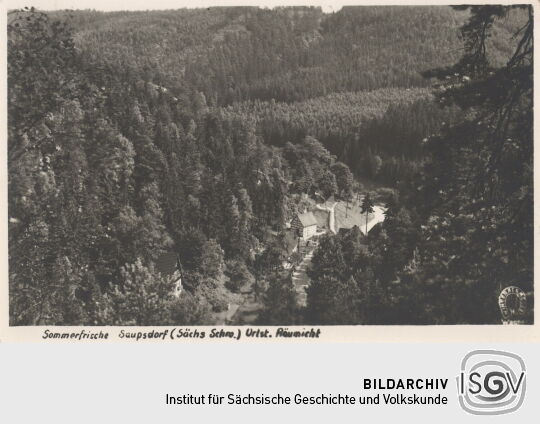 Postkarte "Sommerfrische Saupsdorf (Sächsische Schweiz)"
