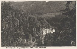 Bild: Postkarte "Sommerfrische Saupsdorf (Sächsische Schweiz)"