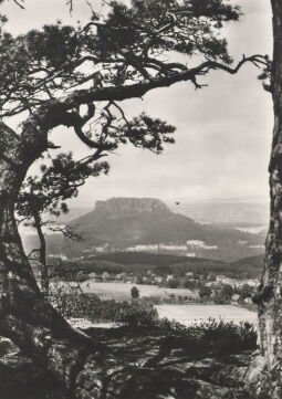 Bild: Postkarte "Gohrisch, Sächsische Schweiz"