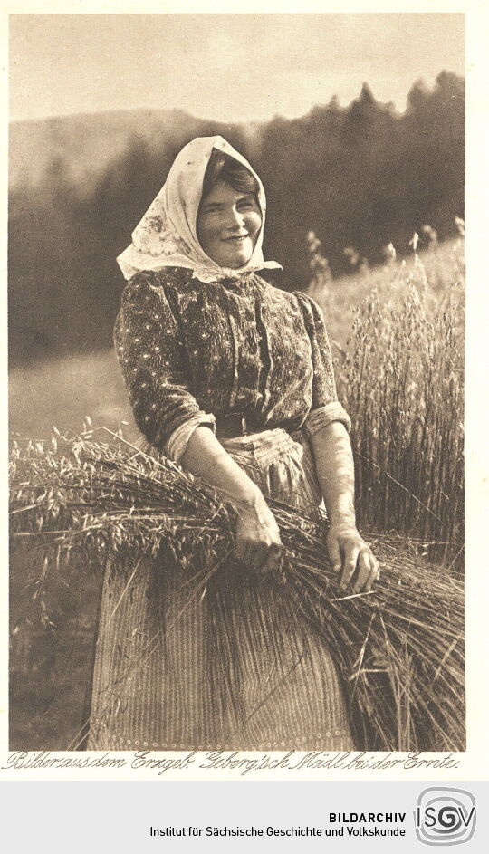 Postkarte "Geberg'sch Mädl bei der Ernte. Bilder aus dem Erzgebirge"