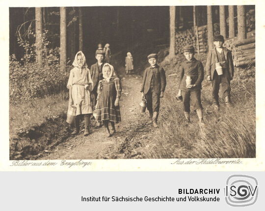 Postkarte "Aus der Heidelbeerernte, Bilder aus dem Erzgebirge"