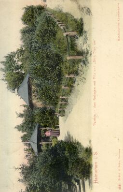 Postkarte Hainichen in Sachsen. Parthie in den Anlagen mit Pilz und Sieh dich um.