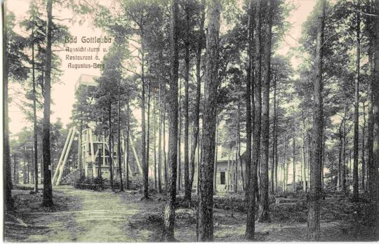 Postkarte Bad Gottleuba, Aussichtsturm und Restaurant auf dem Augustus-Berg.