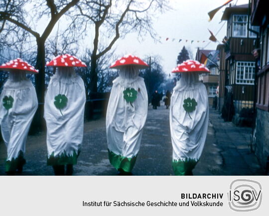 Schifferfastnacht in Postelwitz