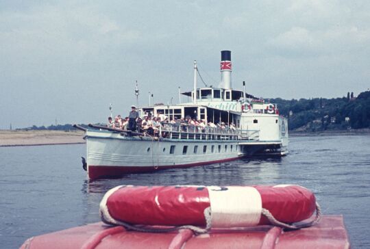 Aussflugsdampfer auf der Elbe in Dresden-Loschwitz