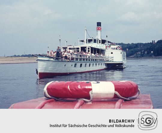 Aussflugsdampfer auf der Elbe in Dresden-Loschwitz