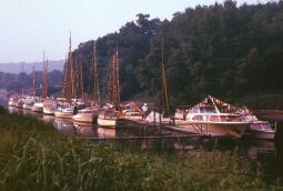 Bild: 1975 Schlosspark Pillnitz
