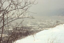 Bild: Januar, Hafen im Winter 1979 (Dresden)