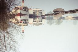Bild: Weiße Flotte im Hafen 1980 (Dresden)