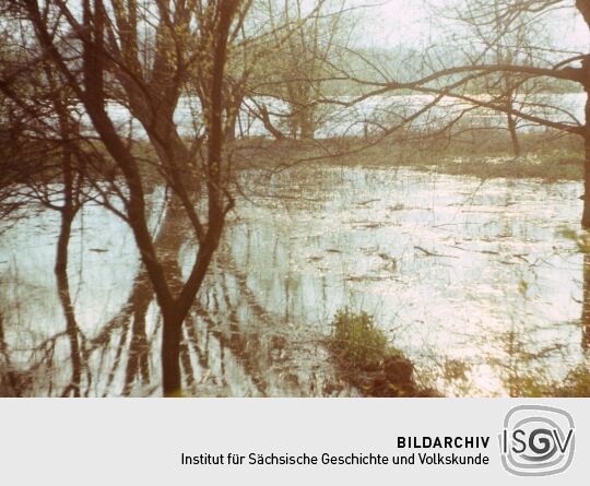 Weiße Flotte im Hafen 1980 (Dresden)