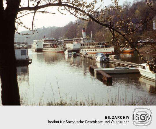 Weiße Flotte im Hafen 1980 (Dresden)