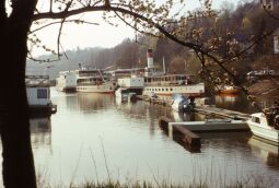 Bild: Weiße Flotte im Hafen 1980 (Dresden)