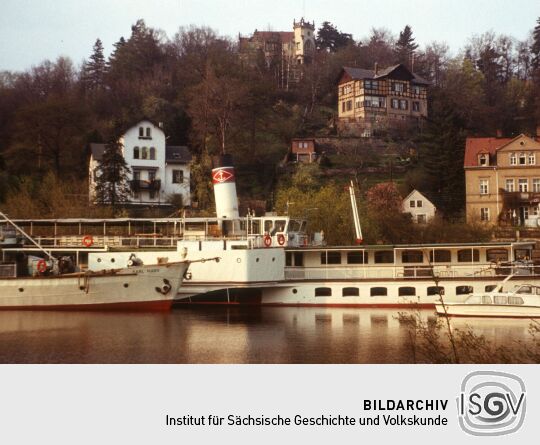 Weiße Flotte im Hafen 1980 (Dresden)