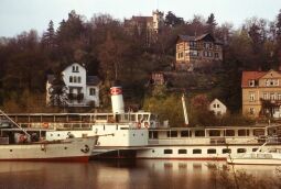 Bild: Weiße Flotte im Hafen 1980 (Dresden)