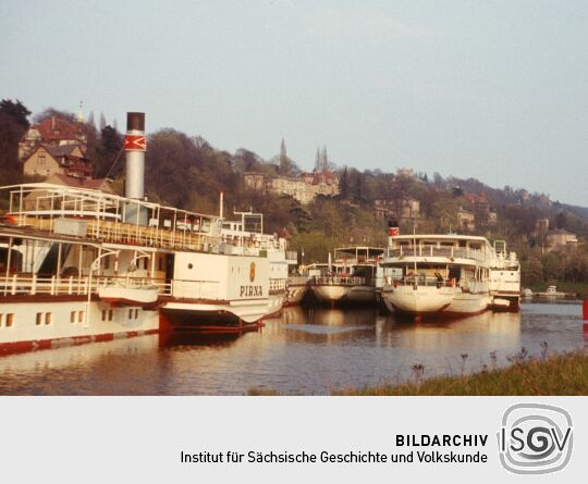 1980 Weiße Flotte im Hafen