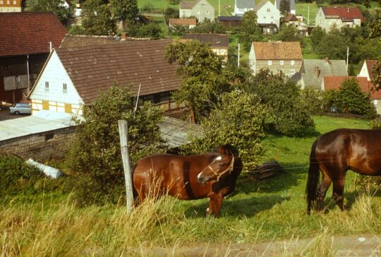Wanderung Zeichen-Wehlen 1980