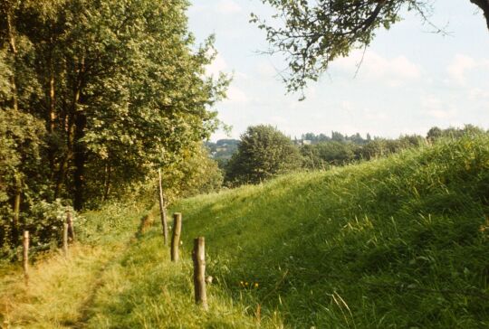 Wanderung Zeichen-Wehlen 1980