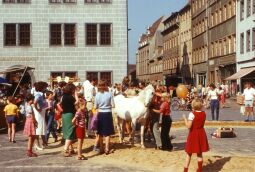 Bild: Urlaub Elster, Torgau 1980