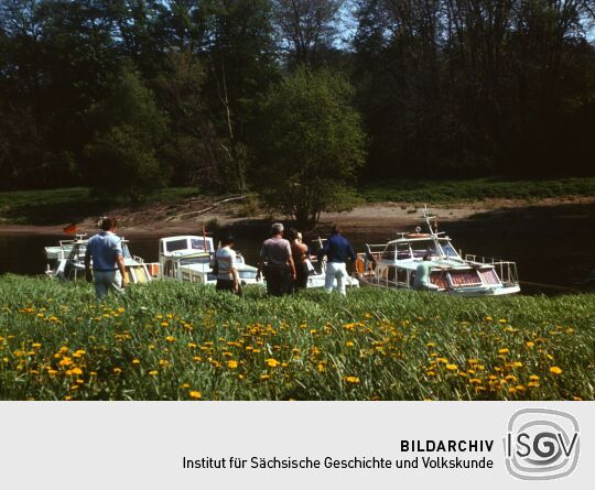 Anlegen Inselarm Pillnitz 1981