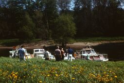 Bild: Anlegen Inselarm Pillnitz 1981