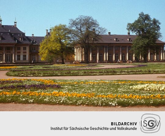 Anlegen Inselarm Pillnitz 1981 (Schloss Pillnitz)