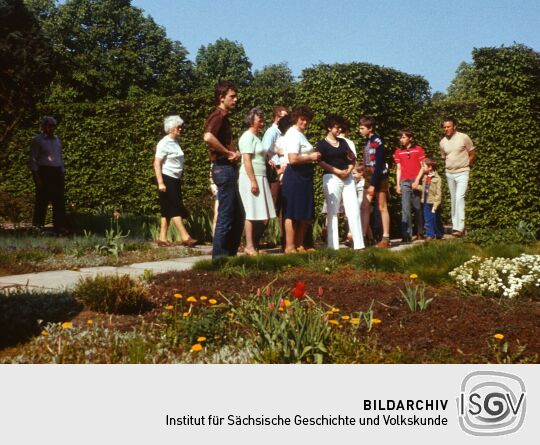 Anlegen Inselarm Pillnitz 1981 (Schloss Pillnitz)