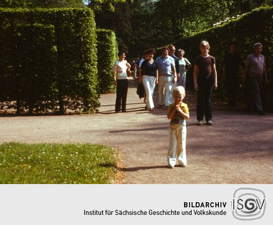 Anlegen Inselarm Pillnitz 1981 (Schloss Pillnitz)