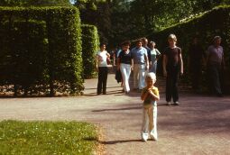 Bild: Anlegen Inselarm Pillnitz 1981 (Schloss Pillnitz)