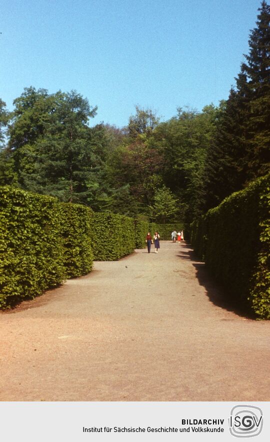 Anlegen Inselarm Pillnitz 1981