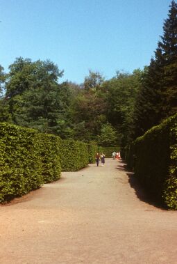 Bild: Anlegen Inselarm Pillnitz 1981